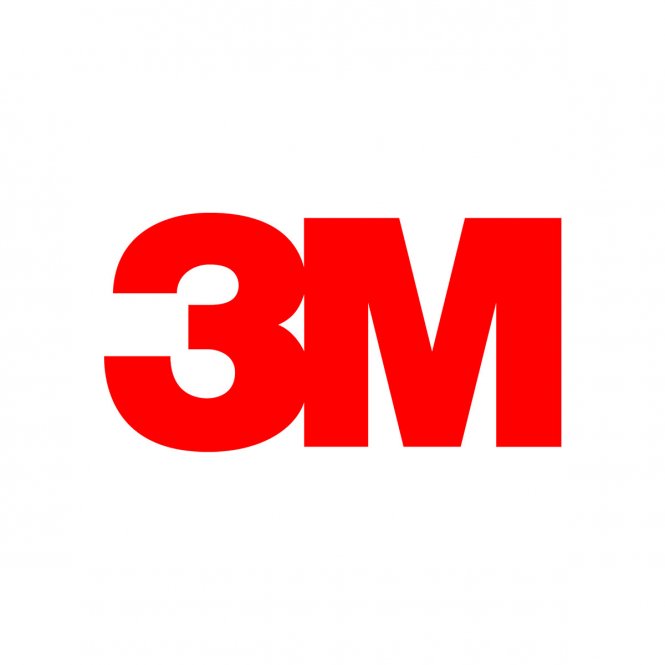 3M Privacy Screen Protector Googl 