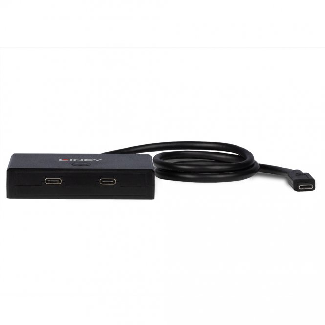 Lindy Switch bidirectionnel USB 3.2 Gen 1 Type C, 2 ports - disponible 24 / 48h 