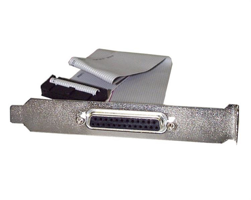 StarTech.com Adaptateur de slot port parallèle DB25 femelle vers connecteur carte mère IDC 25 broches de 40 cm - Nappe DB25 vers IDC 25 - Panneau parallèle - DB-25 (F) pour IDC 26 broches (F) - 40.64 cm - gris 
