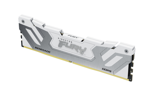 Kingston FURY Renegade - DDR5 - module - 24 Go - DIMM 288 broches - 4200 MHz / PC5-67200 - CL40 - 1.45 V - mémoire sans tampon - on-die ECC - blanc, argent 
