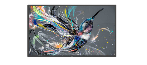 Philips 55" Q-Line 18/7 4K UHD 
