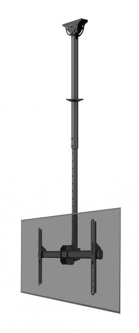 Neomounts CL35-440BL16L, Display  Ceiling Mount, 37-70", Max  - disponible 15 jours 