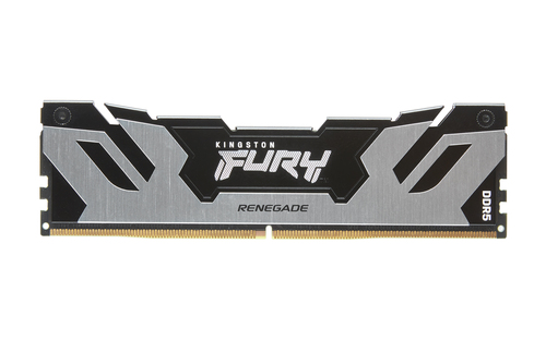 Kingston FURY Renegade - DDR5 - module - 24 Go - DIMM 288 broches - 8000 MT/s / PC5-64000 - CL38 - 1.4 V - mémoire sans tampon - on-die ECC - noir et argent 