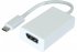 Adaptateur USB 3.1 Type-C vers DisplayPort 1.2 