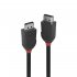 Lindy Câble DisplayPort 1.2, Black Line, 2m 