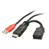 Lindy Câble HDMI 1.4  injecteur d'alimentation avec USB type A mâle, 15 cm 