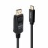 Lindy Câble USB type C vers DisplayPort 4K60 avec HDR, 1m - disponible 15 jours 