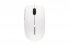 CHERRY Souris MC-2000 USB grise 