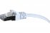 Cordon RJ45 plat catégorie 6 U/FTP snagless blanc - 2 m 