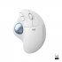 Logitech Ergo Series ERGO M575 - Boule de commande - optique - 5 boutons - sans fil - Bluetooth 5.0 LE, 2.4 GHz - récepteur sans fil USB - blanc cassé 