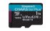 1TB microSDXC Canvas Go Plus w/o ADP - disponible 24 / 48h 